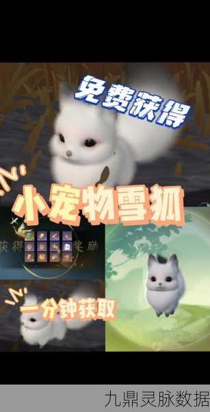 烟雨江湖雪狐,珍稀宠物的多重价值揭秘