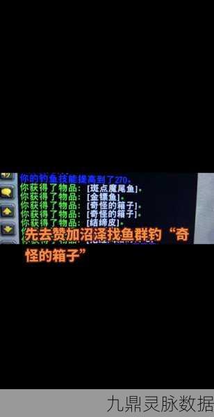 魔兽世界，探索海龟与妙脆角乌龟的独特魅力