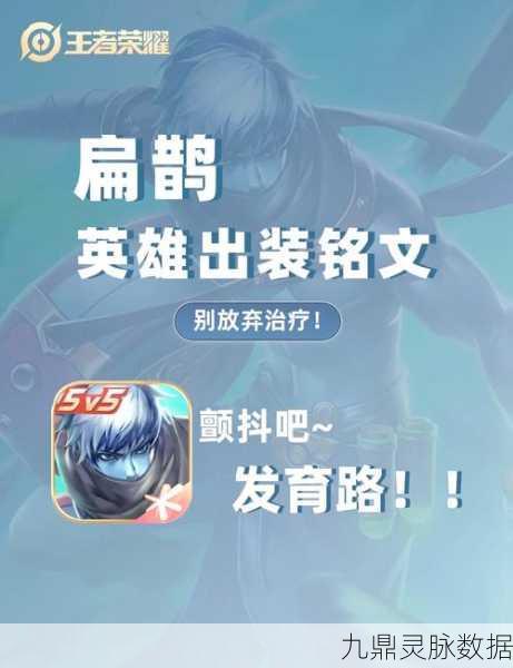 王者荣耀攻略,揭秘扁鹊的克星与应对策略