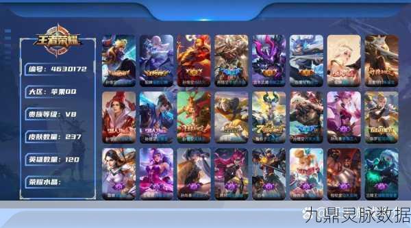 王者荣耀闪屏问题大揭秘,四大元凶助你流畅对战
