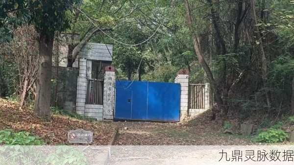 逃出废弃学校,解锁冒险解谜新篇章