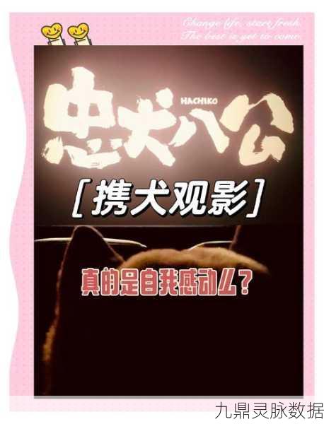 零号任务,解锁狗仔相机,拍出大片既视感秘籍