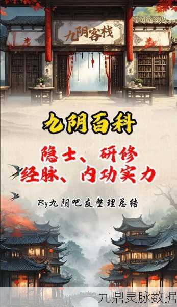 九阴真经专家点揭秘,深入探索江湖秘籍的奥秘