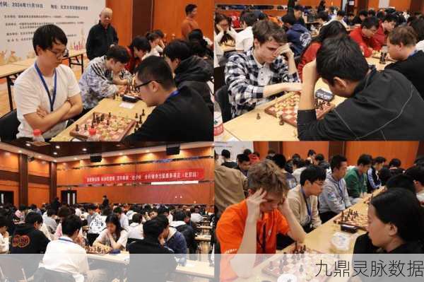国际象棋高手的学府之旅,哪些大学开设了相关专业?