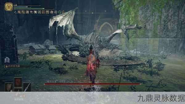 艾尔登法环,探索巨龙踪迹,征服龙之领域