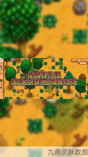 星露谷物语金核桃神秘用途大揭秘,解锁农场未知奇遇!