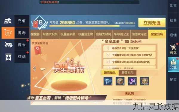 龙族幻想氪金攻略,商城道具性价比深度剖析