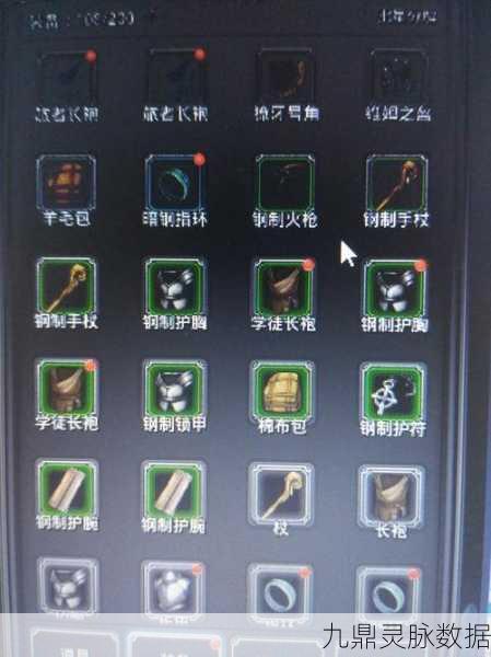 地下城堡2深度解析,龙纹银币的多样用途