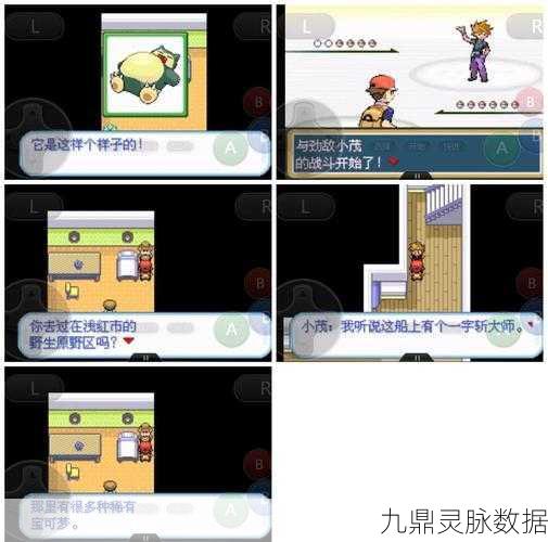 精灵宝可梦叶绿，探险家的全面探险指南