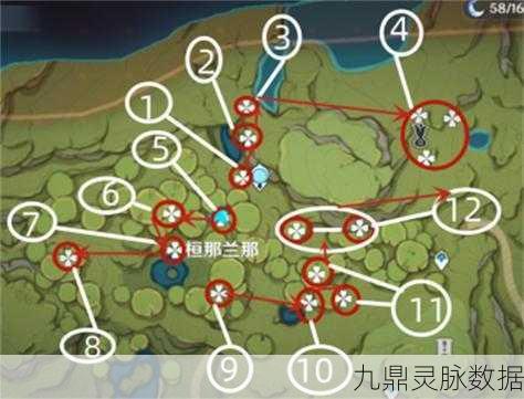 原神帕蒂沙兰采集全攻略，路线与位置一网打尽