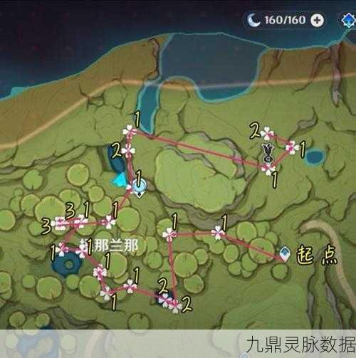 原神帕蒂沙兰采集全攻略,路线与位置一网打尽