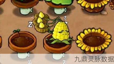 解锁秘籍大揭秘！植物大战僵尸三线玉米投手高效获取全攻略