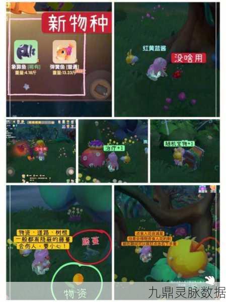 摩尔庄园，解锁1至13点森林骑士卡牌的全面攻略