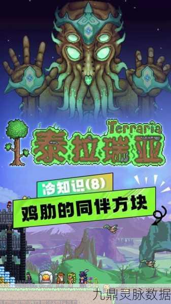 泰拉瑞亚兔兔炮获取全攻略,解锁派对与海盗的奇妙联动