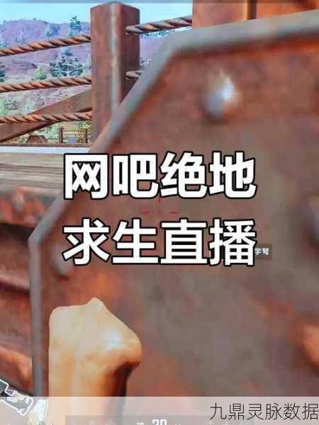 绝地求生网吧销售困境,玩家需求与网吧生态的碰撞