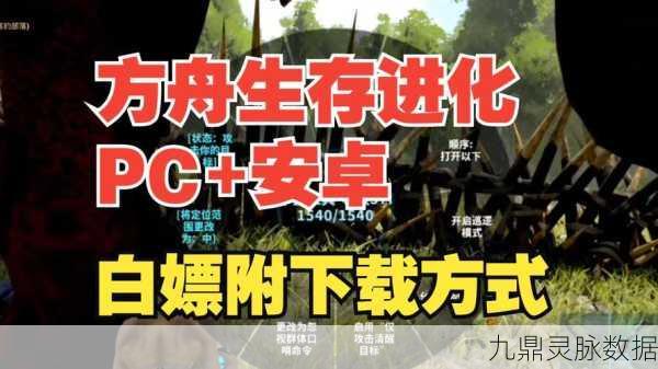 流浪方舟新手启航秘籍,解锁生存冒险新篇章