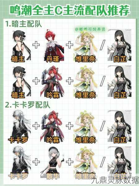 追风哥哥揭秘，鸣潮炽霞顶级配队阵容全攻略