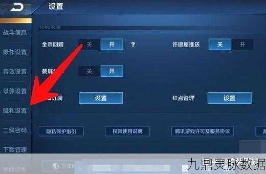 王者荣耀隐藏战绩揭秘，如何巧妙查看？