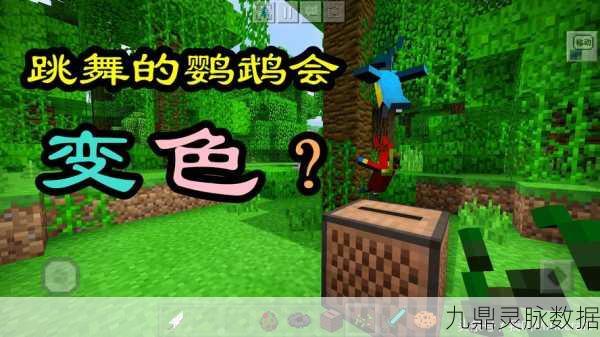 我的世界鹦鹉驯服全攻略,让你的鹦鹉成为忠实伙伴