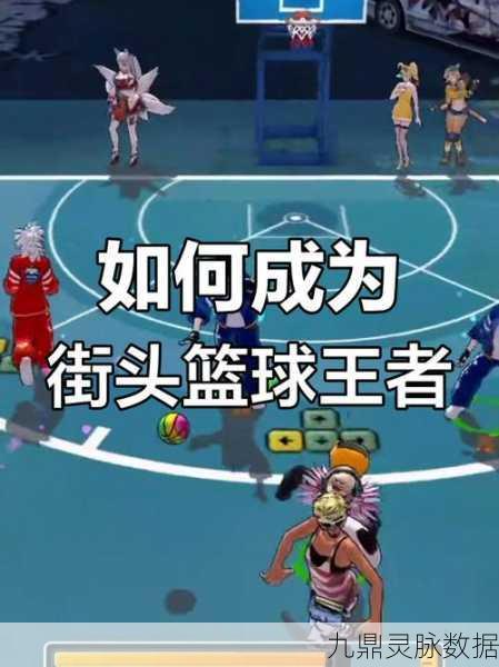 街头篮球职业高手秘籍,跃动球场,铺就你的传奇之路