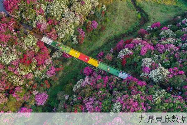 原神秘境追踪,优昙花采集全攻略,邂逅绝美花海