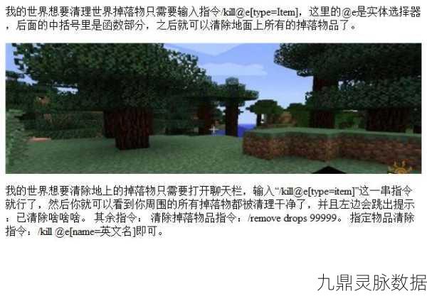 我的世界清除掉落物品命令全解析