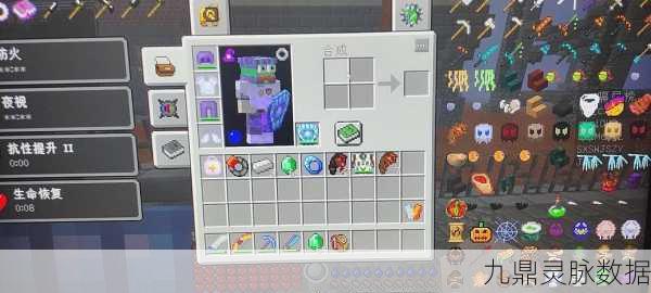 我的世界,解锁虚拟生命的无限奥秘