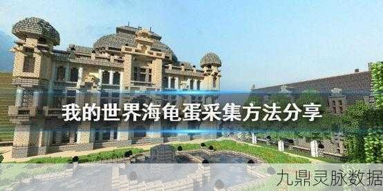 我的世界海龟壳碎片获取全攻略