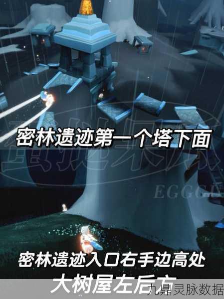 探寻光遇雨林,扭捏先祖的隐秘位置