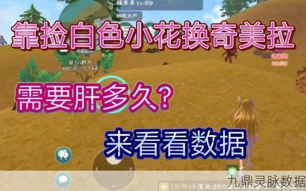 创造与魔法白色小花寻踪秘籍与高效采集攻略