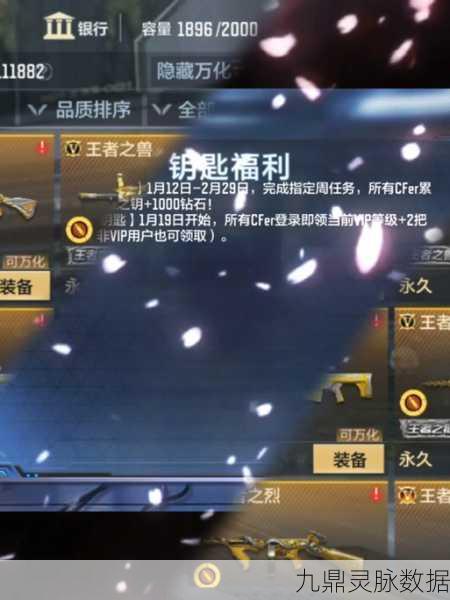 CFHD火线币，解锁游戏新体验的神秘钥匙