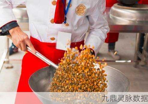 翻炒厨师,开启你的美食烹饪冒险之旅