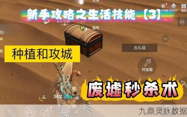 妄想山海废墟砖块拆除全攻略,高效方法与实用技巧大揭秘