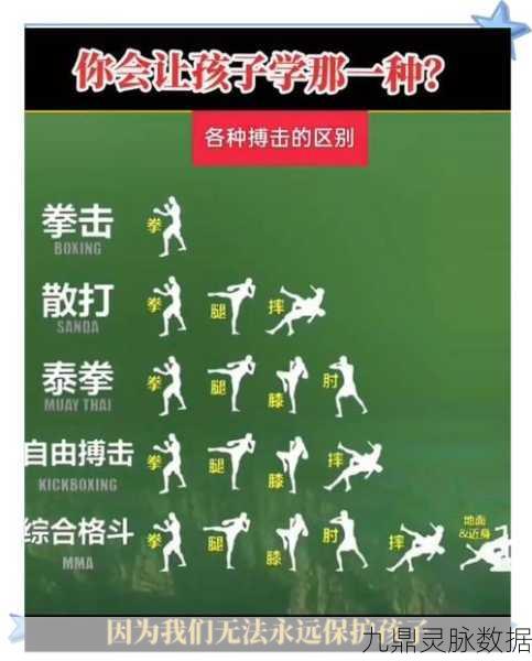 江湖风云录深度探索,七绝拳奥义修炼秘籍与拳法精髓领悟