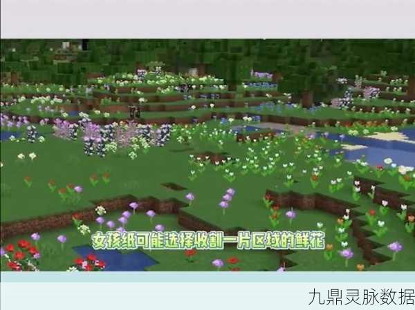 我的世界PC版与PE版,差异与魅力全解析