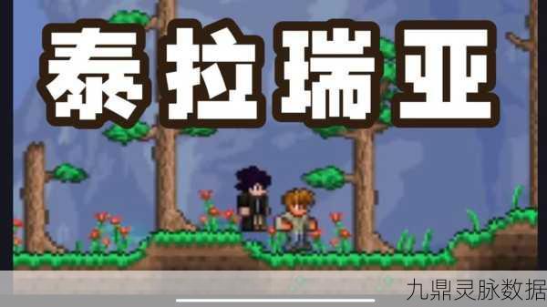泰拉瑞亚Tedit错误,玩家如何应对与玩转创意编辑?