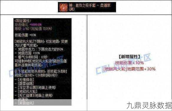 DNF柔道套装选择指南，打造最强战斗力的秘诀