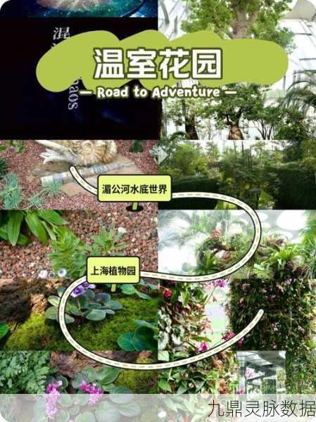 梦想花园,打造你的专属绿意世界,休闲养殖新体验