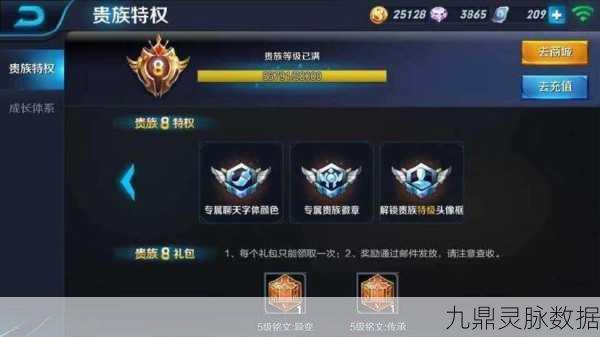 王者荣耀贵族等级揭秘，金色字体背后的荣耀象征