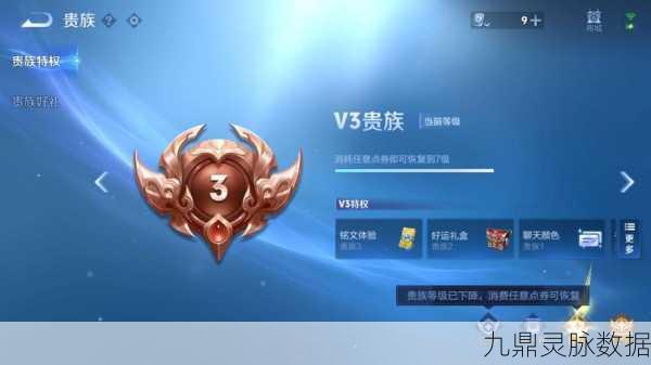 王者荣耀贵族等级揭秘,金色字体背后的荣耀象征