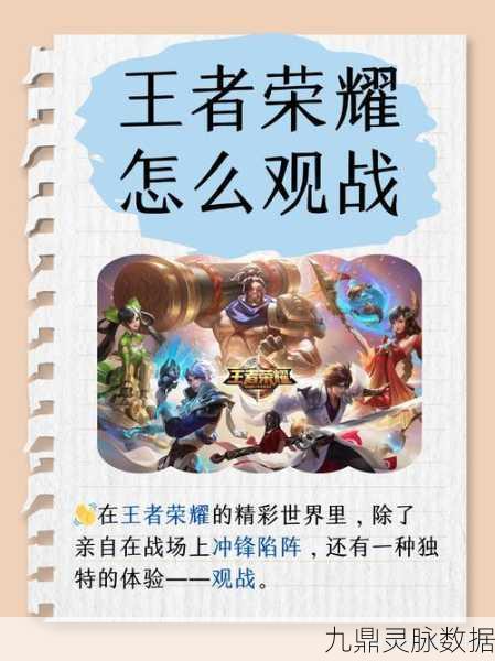 王者荣耀破浪对决，阵营选择全攻略，助你驰骋海域！