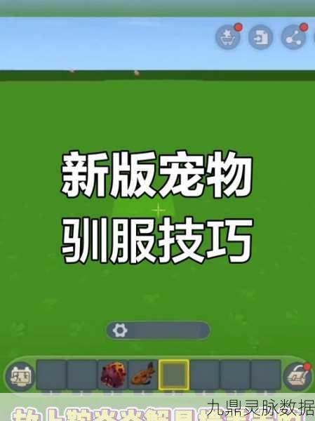 迷你世界,揭秘狼的饮食习惯与驯服技巧