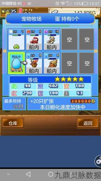 大航海探险物语,宠物觉醒,扬帆启航新纪元