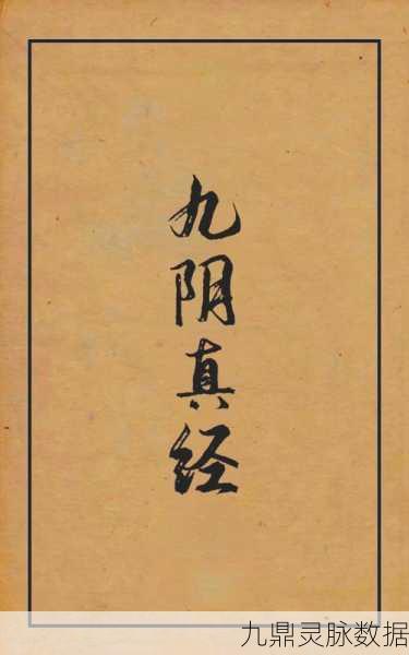 九阴真经深度解析，太极四招的奥秘与威力