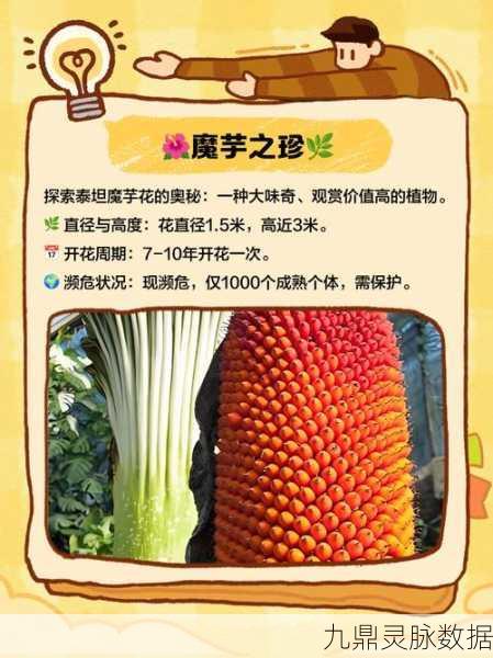 幻塔泰坦魔芋关闭秘籍,解锁毒气迷宫的钥匙