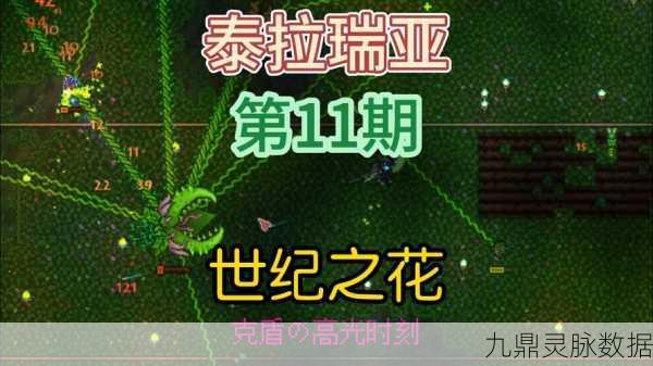 泰拉瑞亚世纪之花,属性与攻略全面揭秘