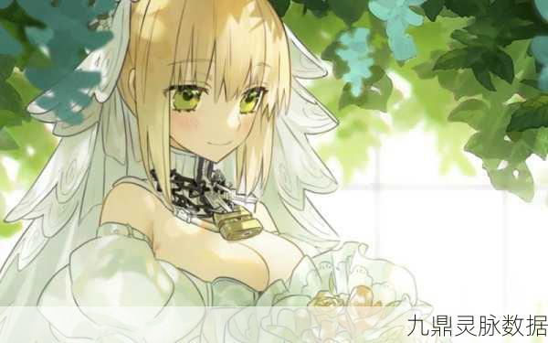 FGO新纪元,花嫁尼禄重塑辉煌,宝具本挑战等你征服!