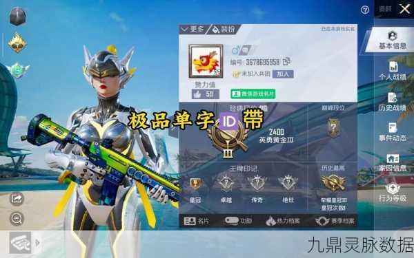 和平精英游戏名片探寻，轻松定位你的专属名片