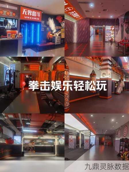 风云拳击物语，打造你的拳击帝国，经营乐趣无穷
