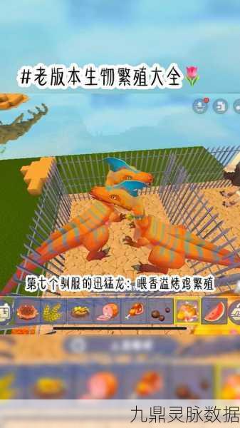 迷你世界驯龙秘籍,解锁龙的驾驭之道